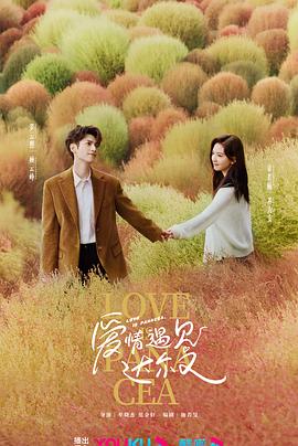 免费观看黄色视频网海报剧照